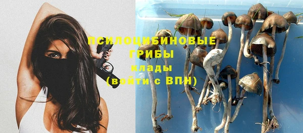 круглые Армянск