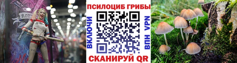 Галлюциногенные грибы мицелий  Мантурово 